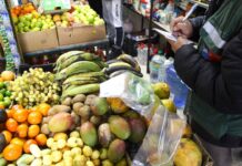 Aji amarillo, papaya peruana y rocoto son los productos más decomisados del 2023-2024 