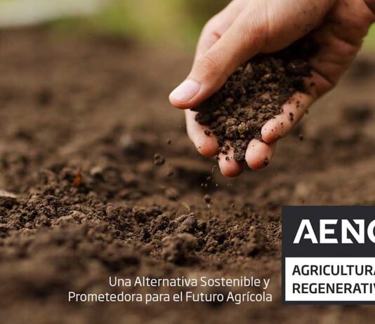 Certificación Agricultura Regenerativa AENOR: Una Alternativa Sostenible y Prometedora para el Futuro Agrícola