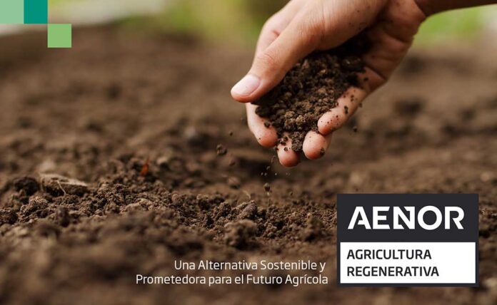 Certificación Agricultura Regenerativa AENOR: Una Alternativa Sostenible y Prometedora para el Futuro Agrícola