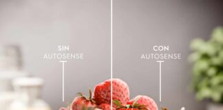 Día mundial de las verduras