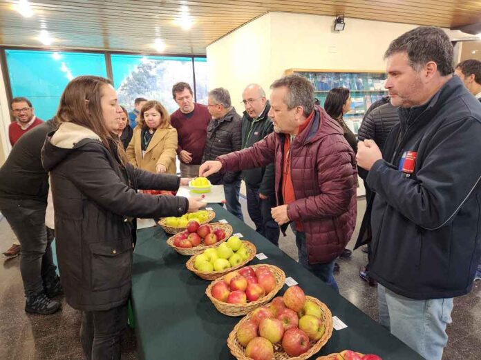 Efectos del cambio climático potencian a Ñuble como la futura región frutícola de Chile