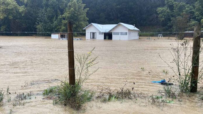 Efectos del temporal en el Agro Expertos de INIA Rayentué entregan recomendaciones