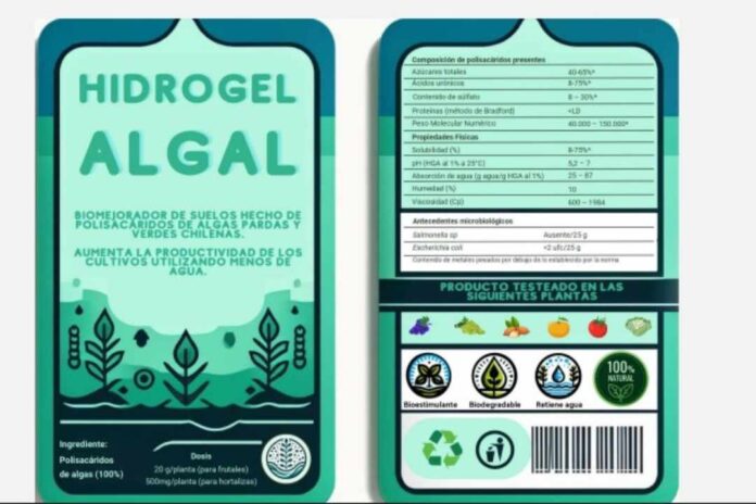 Hidrogel algal para el uso agrícola creado por UCN podría convertirse en biomejorador de suelos