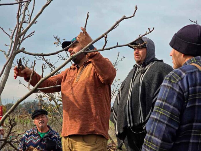 INIA La Platina impulsa capacitaciones técnicas entre agricultores de la comuna de María Pinto