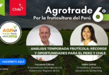 Imperdible Agrotrade Perú: Isabel Quiroz y Fernando Cillóniz analizaran los Récords y Oportunidades de la Temporada Frutícola del Perú y Chile. 