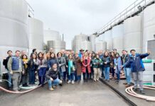 Mesa Tri-regional del Vino