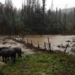 Ministro de Agricultura por frente de mal tiempo: "La lluvia en el sur ha sido compleja, pero no comparable con las dos tormentas del año pasado"