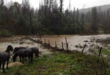 Ministro de Agricultura por frente de mal tiempo: "La lluvia en el sur ha sido compleja, pero no comparable con las dos tormentas del año pasado"