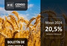 Molienda de trigo de la Región del Biobío aumentó 20,5% en mayo Molienda de trigo de la Región del Biobío aumentó 20,5% en mayo