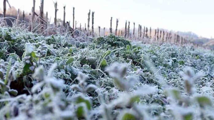 Panorama Agroclimático Estacional