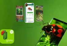¿Plaga o insecto biocontrolador? Descúbrelo con la Realidad Aumentada de la App Insectarium AR 3.04 de AFIPA y protege tu cultivo
