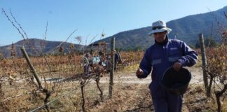 Protegiendo nuestros suelos ante la amenaza de temporales