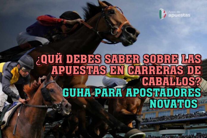 ¿Qué debes saber sobre las apuestas en carreras de caballos? Guía para apostadores novatos