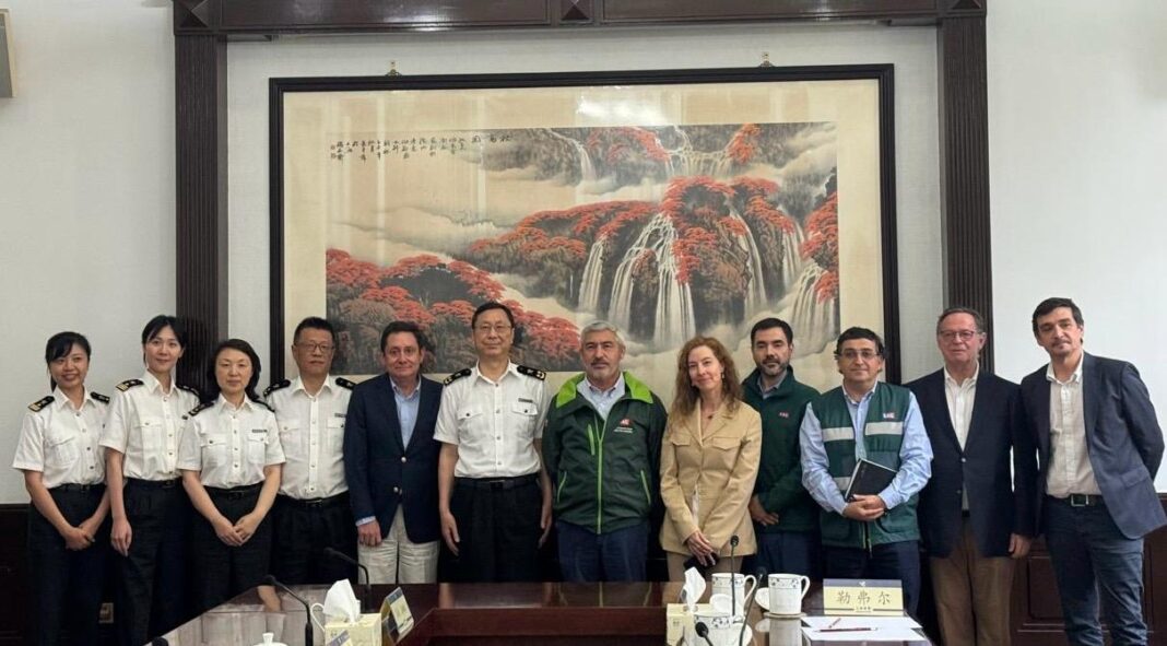 SAG, Frutas de Chile y Aduana de China avanzan en acuerdos para las exportaciones de cerezas para la próxima temporada 2024-2025