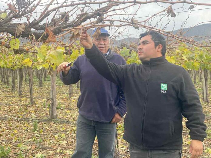 Salamanquinos reciben asesoría para mejorar sus sistemas de riego y realizar un uso eficiente del agua