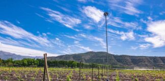 Wiseconn enfatiza enfoque sostenible de la tecnología agrícola