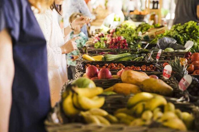 ¿Aumentarán los precios de las hortalizas después de las lluvias