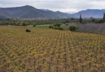Por qué persiste la sequía en la Región de Coquimbo