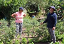 Agricultores de Arauco iniciaron camino hacia la producción sostenible