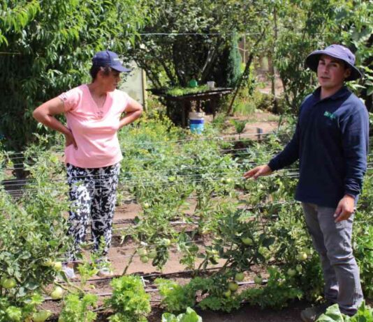 Agricultores de Arauco iniciaron camino hacia la producción sostenible