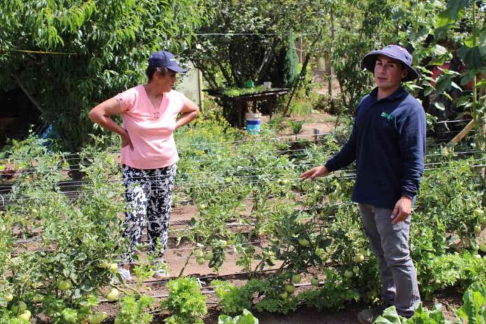 Agricultores de Arauco iniciaron camino hacia la producción sostenible