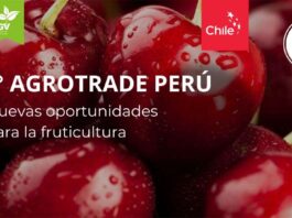 Agrotrade Perú 2024: Nuevas Oportunidades para la Fruticultura
