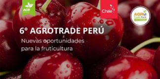 Agrotrade Perú 2024: Nuevas Oportunidades para la Fruticultura