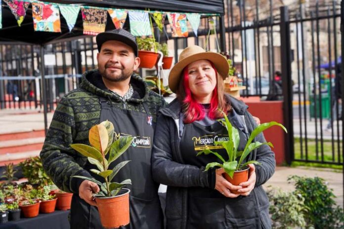 Alimentos frescos y saludables para San Bernardo: INDAP inauguró nuevo Mercado Campesino