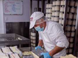 Amazon USA recibirá por primera vez quesos chilenos premium provenientes de la Región de los Lagos