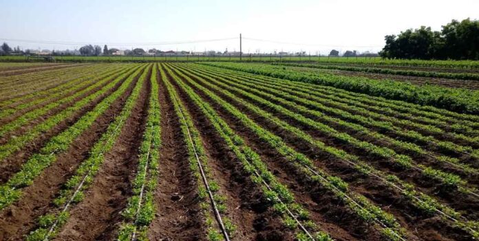 CNR llama a comunidades agrícolas e indígenas de Atacama y Coquimbo a participar en concurso de tecnificación para proyectos no seleccionados