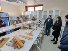 Concluye Proyecto de Innovación para Fortalecer la Industria del Aserrío en Aysén