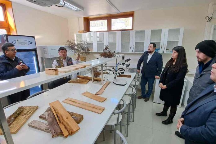 Concluye Proyecto de Innovación para Fortalecer la Industria del Aserrío en Aysén