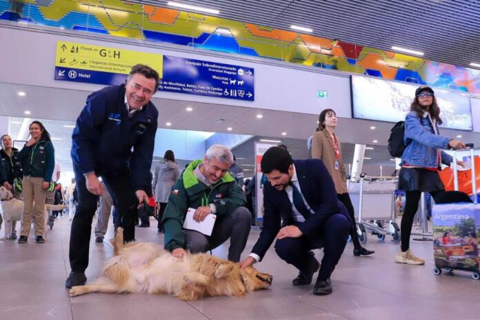 Debido al aumento de viajes con mascotas, el SAG facilita trámites para dueños de perros y gatos