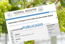 Fruteros celebran publicación de protocolo en Federal Register de EEUU: "Desde la próxima temporada enviaremos uvas chilenas sin fumigar a Estados Unidos"