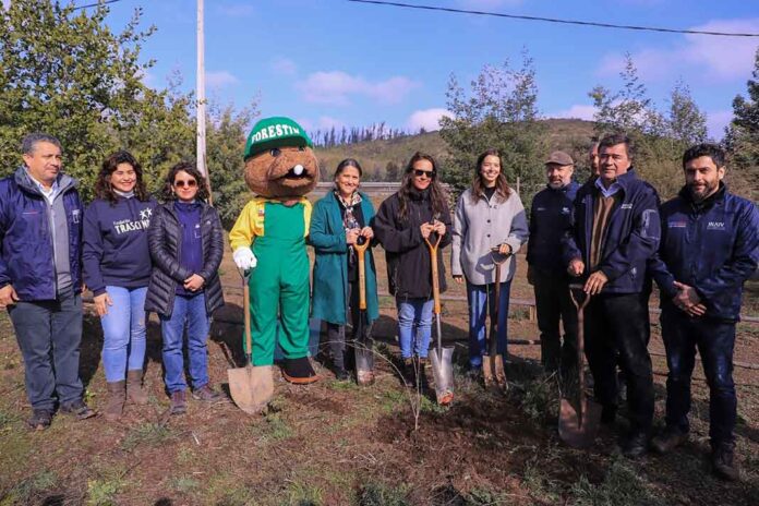 Gobierno lanza campaña de voluntariado “Devolvamos el color a Peñuelas” para reforestar la Reserva Nacional en Valparaíso