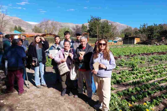 Estudiantes de Las Rojas liberan insectos controladores de plagas que ellos mismos criaron, en campo de Diaguitas