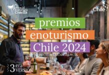 Extienden plazo postulación Premios Enoturismo Chile 2024