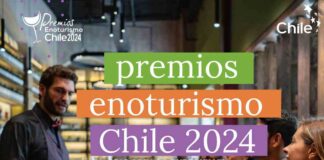 Extienden plazo postulación Premios Enoturismo Chile 2024