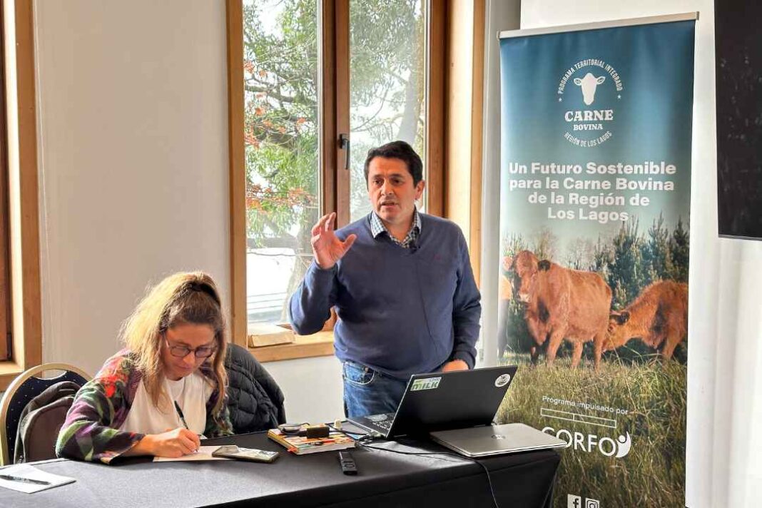 Reunión en Puerto Varas reúne a actores claves para fortalecer la industria bovina regional