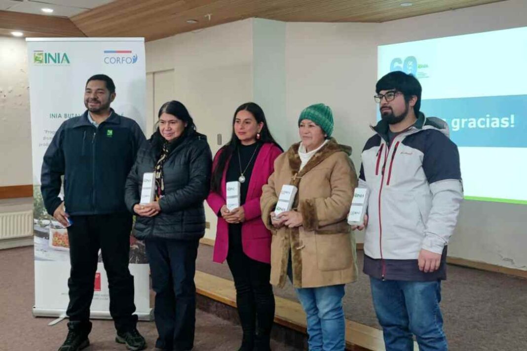 INIA y Achipia con apoyo de Corfo Los Lagos ayudan a producir hortalizas inocuas en Chiloé