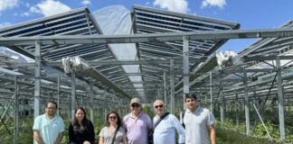 Incorporación de paneles agrofotovoltaicos podría resolver problemática de pérdida de suelos agrícolas