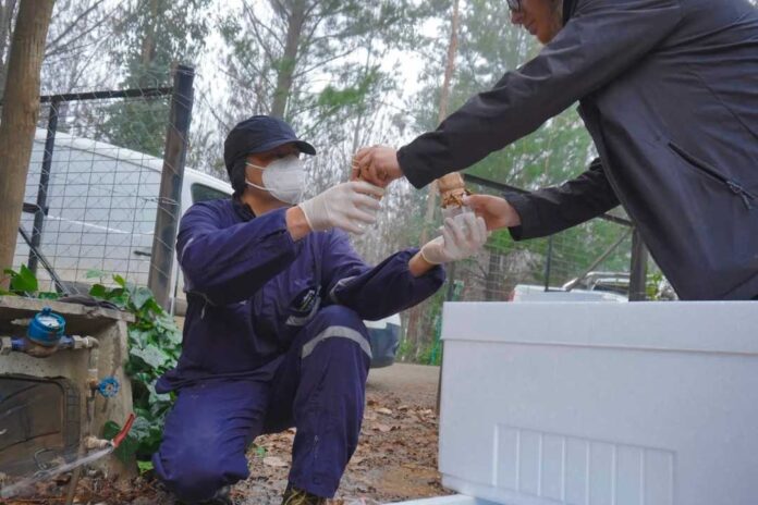 Inician estudio para evaluar calidad del agua en zonas rurales del Biobío