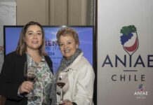 La asociación de enólogos lanza oficialmente la octava versión de CARMENÈRE AL MUNDO 2024