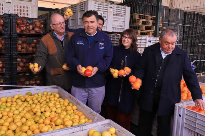 Ministro Valenzuela analiza productos de temporada: “nuestra producción hortícola es resiliente”