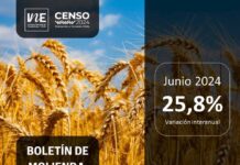 Molienda de trigo de la Región del Biobío aumentó 25,8% en junio Molienda de trigo de la Región del Biobío aumentó 25,8% en junio