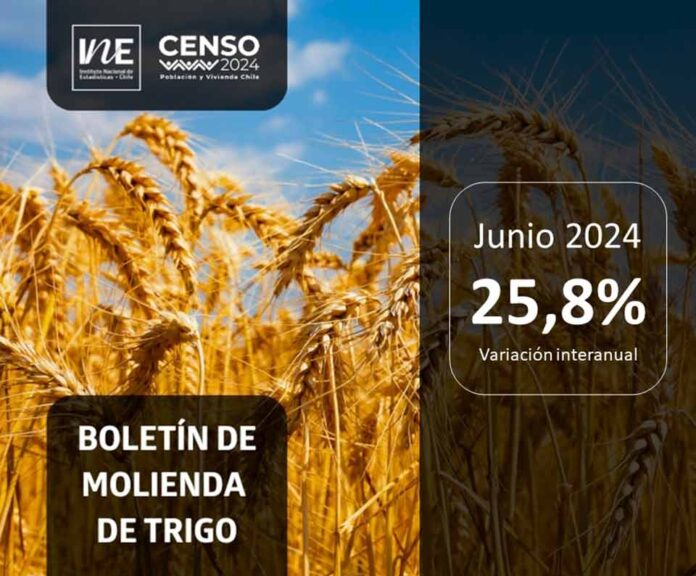 Molienda de trigo de la Región del Biobío aumentó 25,8% en junio