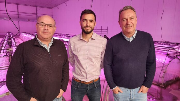 Nueva Vid se une a Grupo Hijuelas para transformar la producción frutícola a nivel global