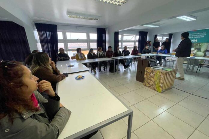 Olivicutores de Taltal aprenden a reconocer y describir la calidad de sus aceites en talleres de cata