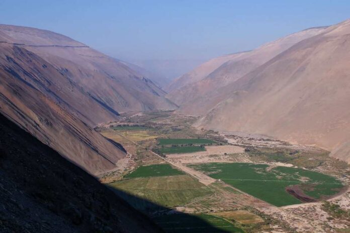 Optimizarán la agricultura del desierto con la ayuda de tecnología de última generación