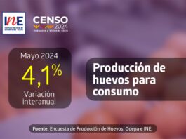 Producción de huevos de consumo presentó un incremento interanual de 4,1% en mayo de 2024